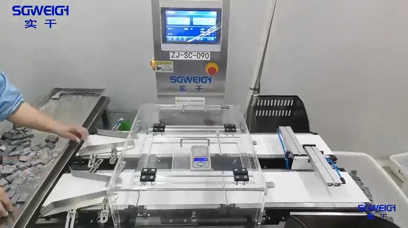 dual-lane checkweigher1.jpg
